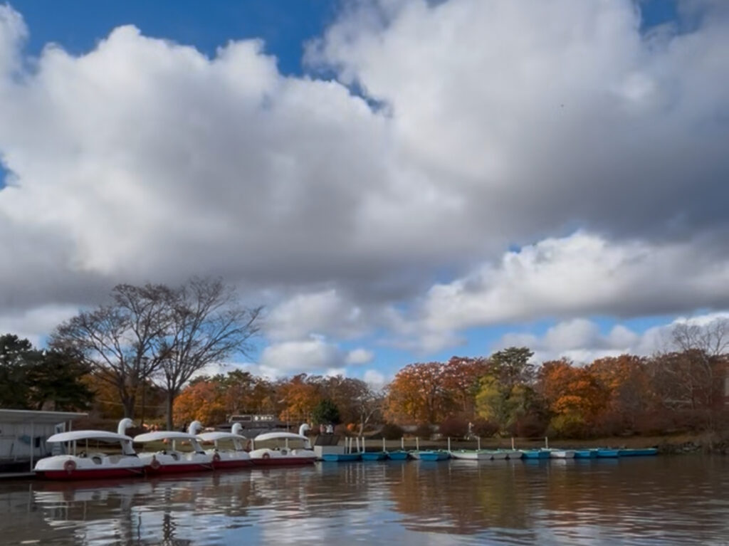 紅葉がキレイな10月頃の函館大沼公園