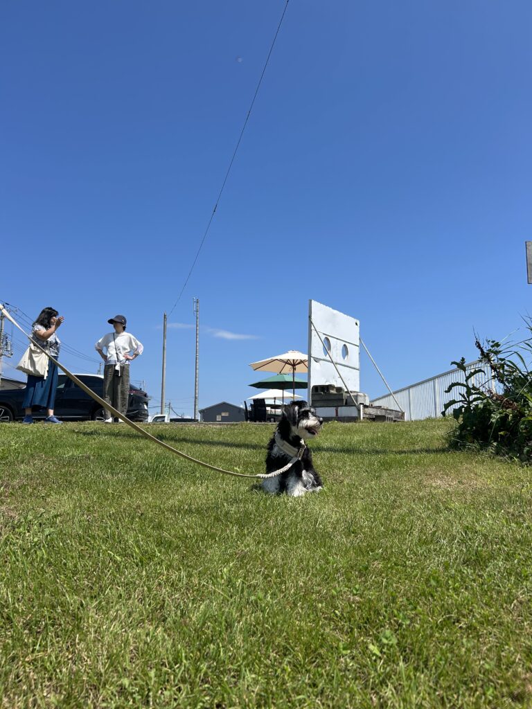 北海道白老町虎杖浜にある「たらこ家虎杖浜」は犬連れOK。芝生で休憩できる