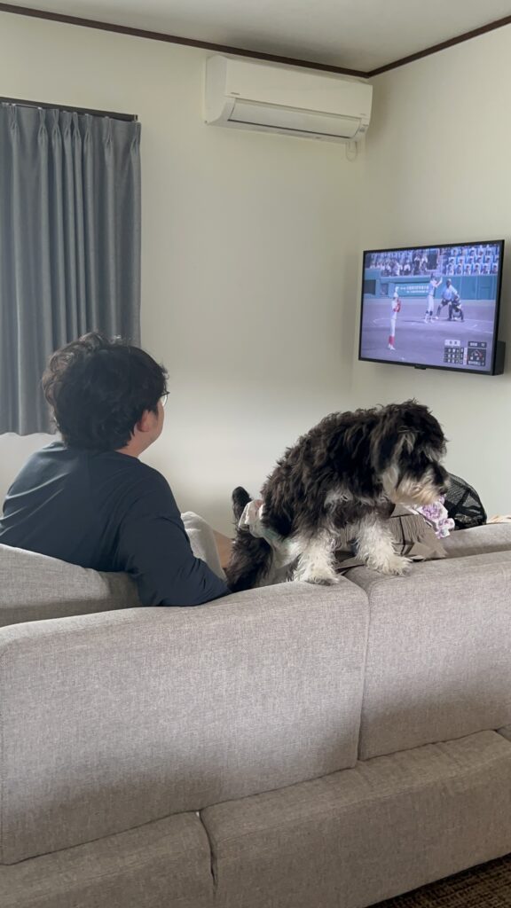 Retreat Furanoのソファでのんびり過ごす愛犬